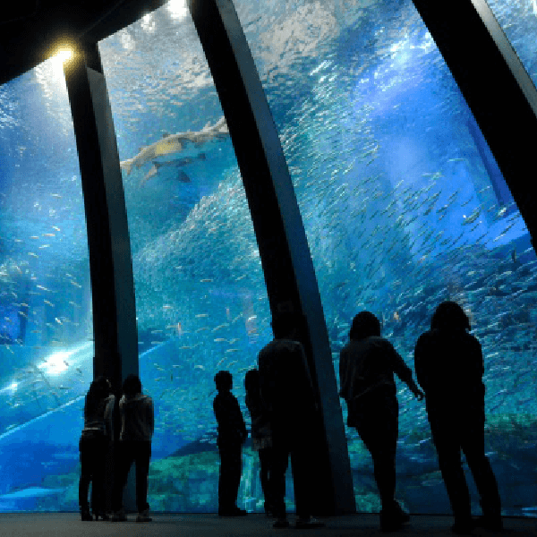 水族館