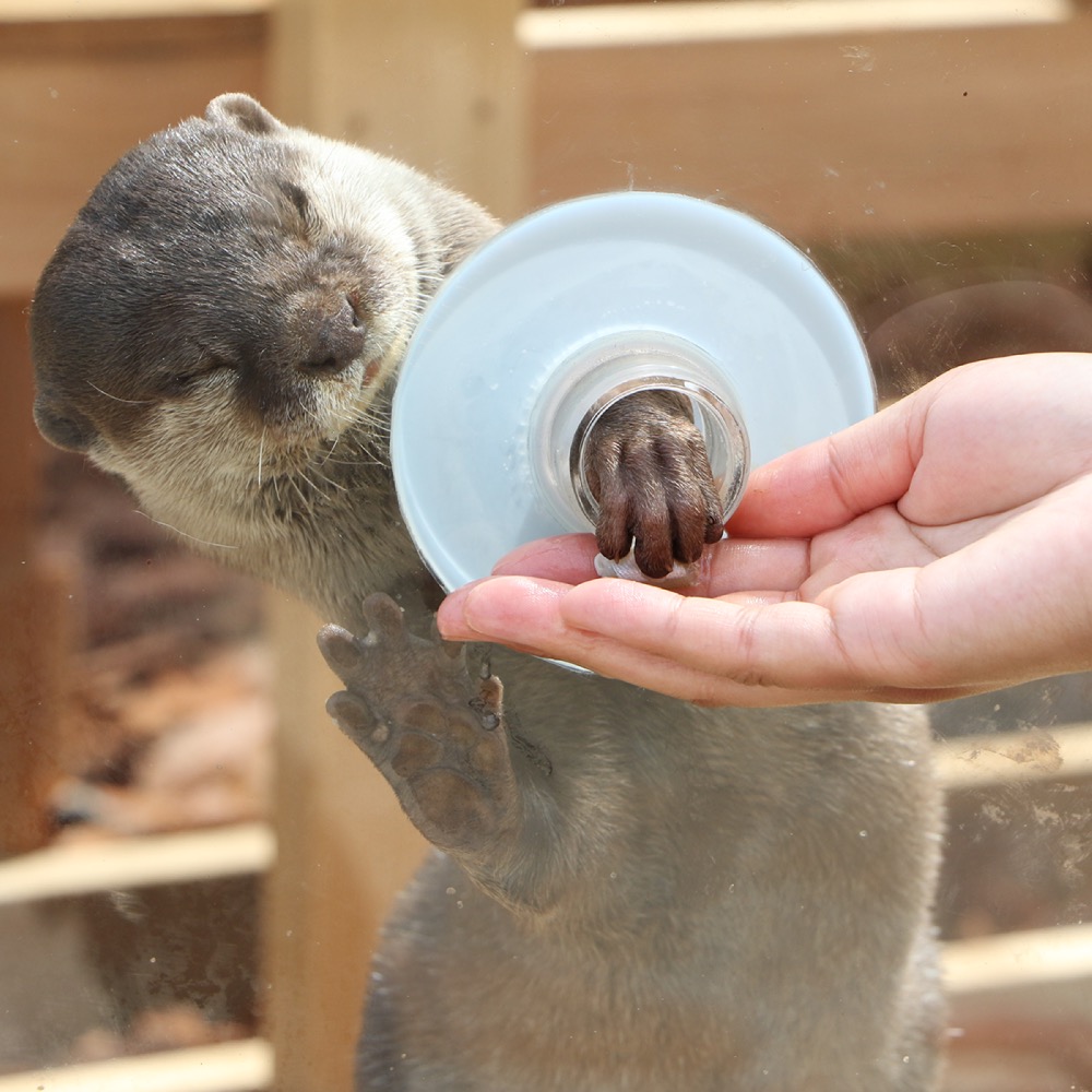 ホテルから1時間！海にかこまれた絶好のロケーションで、日本最大級の水族館を満喫！横浜・八景島シーパラダイスへ