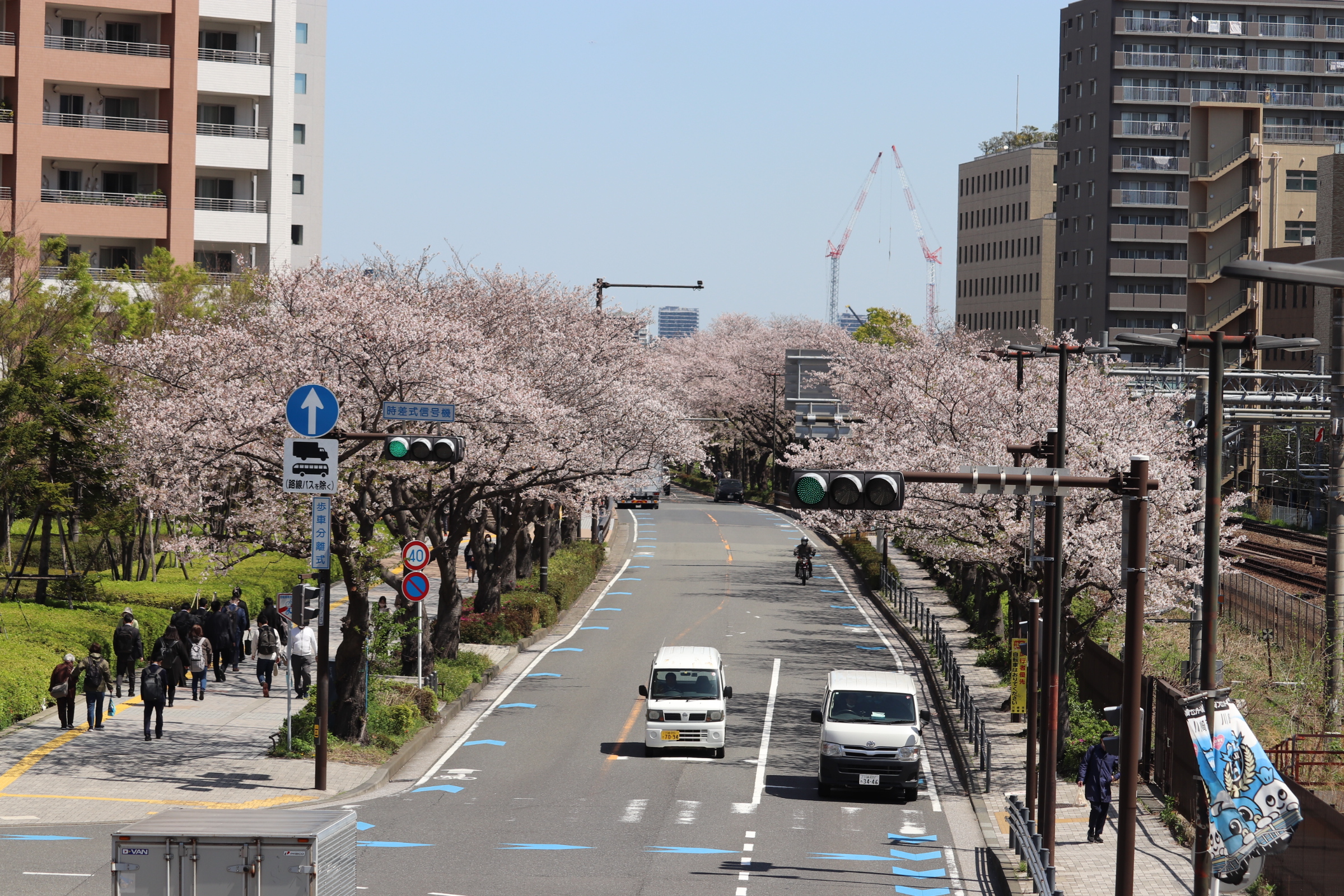 線路沿いの道を、満開の桜が包み込む「堀川町線の桜並木」【徒歩5分】