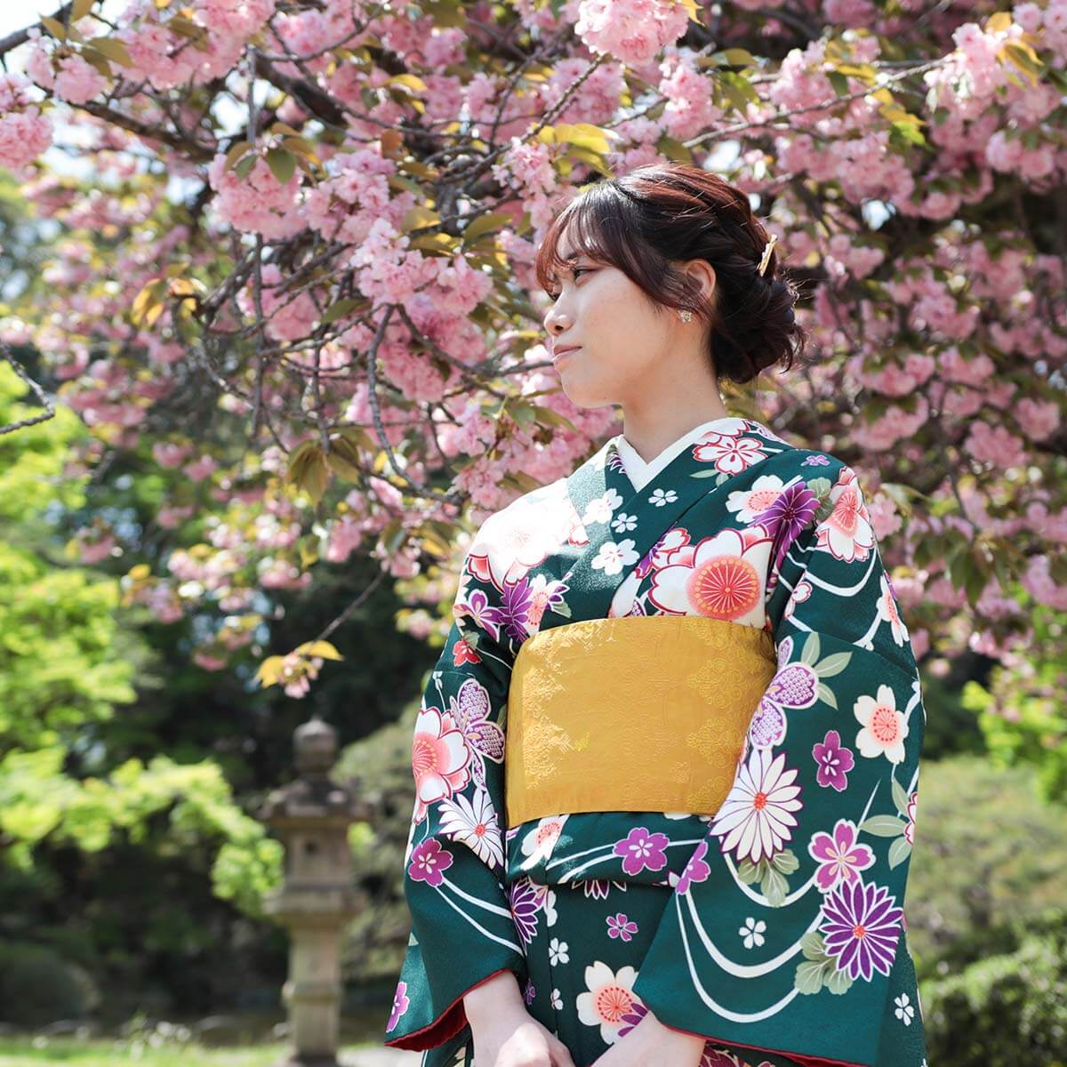 手ぶらで和装も楽しめる。晩春の「新宿御苑」で遅咲きの桜を満喫