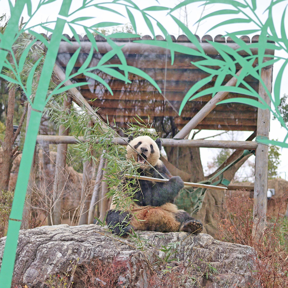 迷ったらここ！「上野公園」目的別おすすめスポット